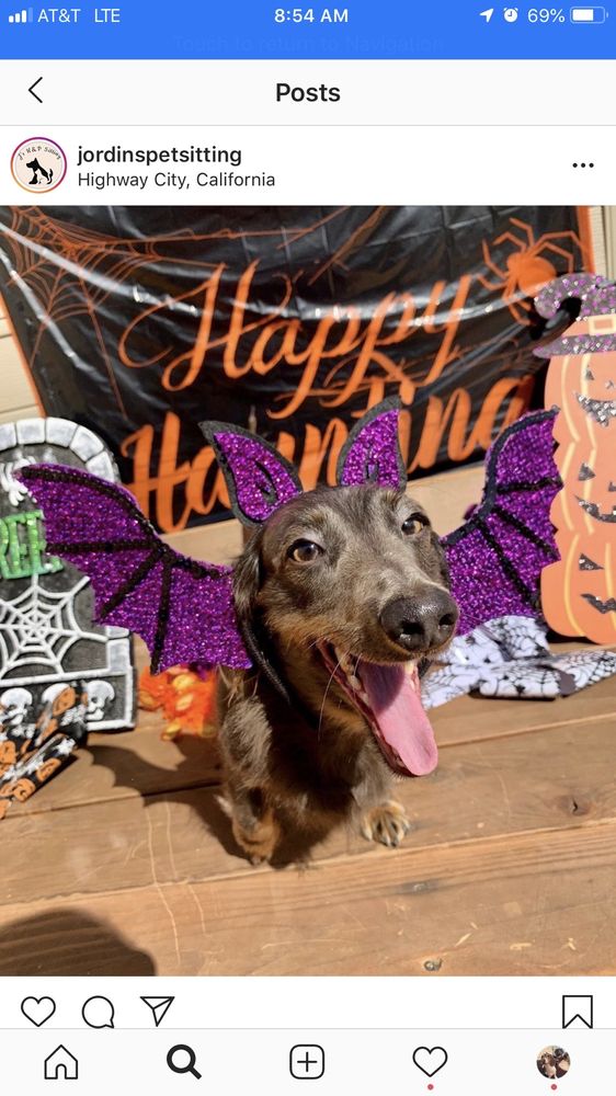 CENTRAL VALLEY PET SITTERS 52 Photos Fresno, California Pet