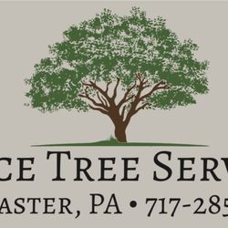 Joyce Tree Service