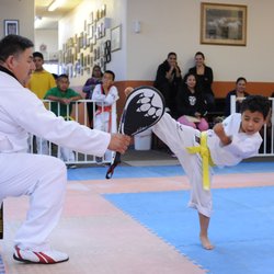 Ramirez Twin Tigers TKD - Grand Master Ramirez with young student.
