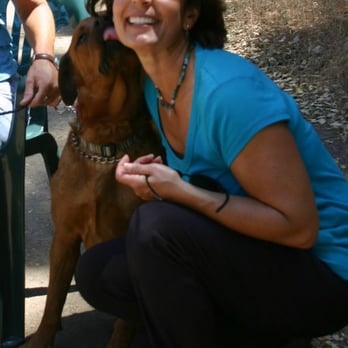 I Talk Dog - Zoe shows how much she loves her lessons - Pet Training Near Me I Talk Dog - Zoe shows how much she loves her lessons - Pet Training Near Me
