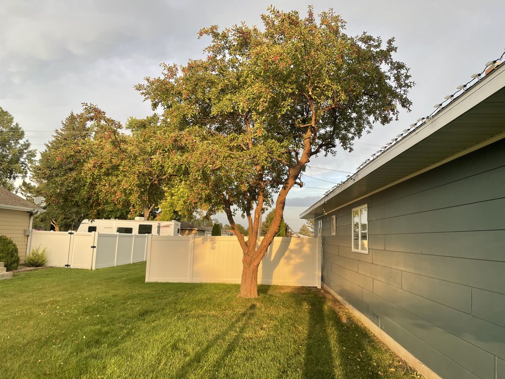 Mapel Tree Service - tree service in Lincoln, NE