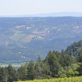 Paloma Vineyard - View of the east side hills of St Helena from Paloma Winery - Wineries Near Me - St. Helena, California Paloma Vineyard - View of the east side hills of St Helena from Paloma Winery - Wineries Near Me - St. Helena, California