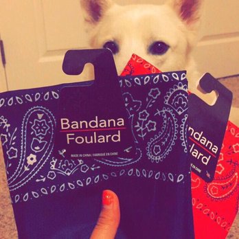 Dollar Tree - Bought Bandanas for Ray and my doggo - Discount Store Near Me - Cottonwood Heights, Utah Dollar Tree - Bought Bandanas for Ray and my doggo - Discount Store Near Me - Cottonwood Heights, Utah