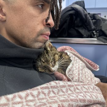 Riverdale Veterinary Group - Veterinarians Near Me - Bronx, New York Riverdale Veterinary Group - Veterinarians Near Me - Bronx, New York