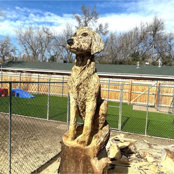 Terroux Dog Training - "Woody" greets arriving clients. - Pet Training Near Me - Arvada, Colorado Terroux Dog Training - "Woody" greets arriving clients. - Pet Training Near Me - Arvada, Colorado