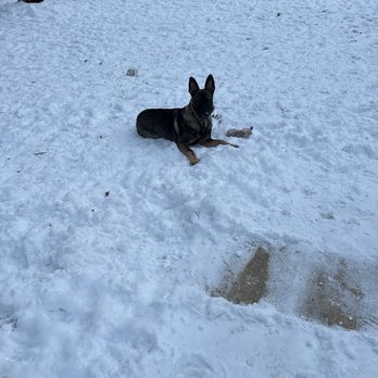 Doctors Park Veterinary Clinic - They provided excellent care to my dog! - Veterinarians Near Me - Canfield, Ohio Doctors Park Veterinary Clinic - They provided excellent care to my dog! - Veterinarians Near Me - Canfield, Ohio