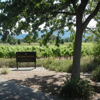 Mumm Napa - Mumm - i like saying that now - Wine Tasting Room Near Me - Rutherford, California Mumm Napa - Mumm - i like saying that now - Wine Tasting Room Near Me - Rutherford, California