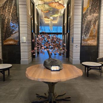 Kimpton Hotel Arras - Lobby - Hotels Near Me - Asheville, North Carolina Kimpton Hotel Arras - Lobby - Hotels Near Me - Asheville, North Carolina