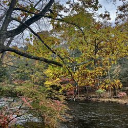 Steep Rock Preserve - Turning leaves and the river