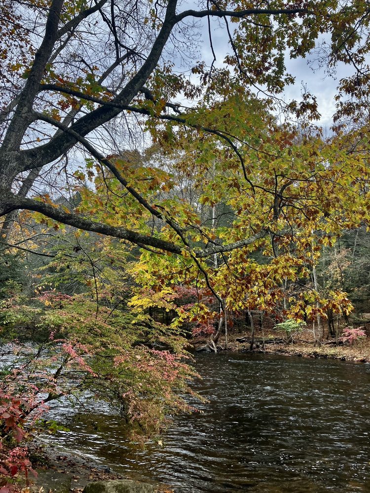 STEEP ROCK PRESERVE Updated September 2024 26 Photos 2 Tunnel Rd