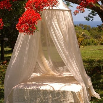 Indigo Paia - cotton mosquito net - Art Galleries Near Me - Wailuku , Hawaii Indigo Paia - cotton mosquito net - Art Galleries Near Me - Wailuku , Hawaii