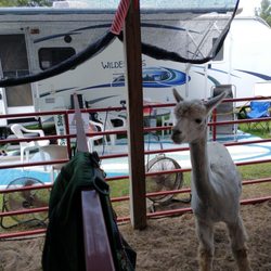 Northwest Michigan Fairgrounds