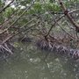 Keys Kayak