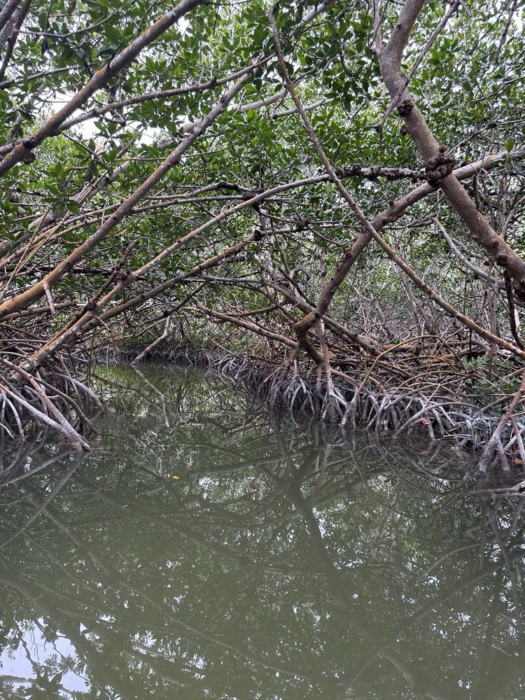 Keys Kayak