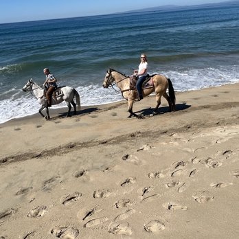 Monterey Bay Equestrian Center - Horseback Riding Near Me - Castroville, California Monterey Bay Equestrian Center - Horseback Riding Near Me - Castroville, California