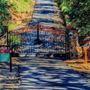 Photo of Barnett Vineyards