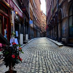Dancing Moon Travel - Lyon France -- I loved this charming city, the gastronomic capital of France.