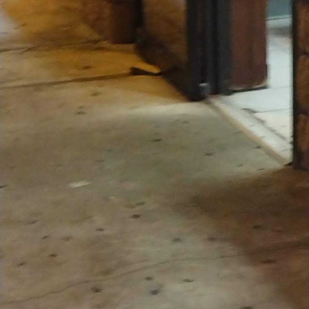 Jin-Jin Kitchen - In picture you can see wedge holding door. - Chinese Near Me - Lakeland, Florida