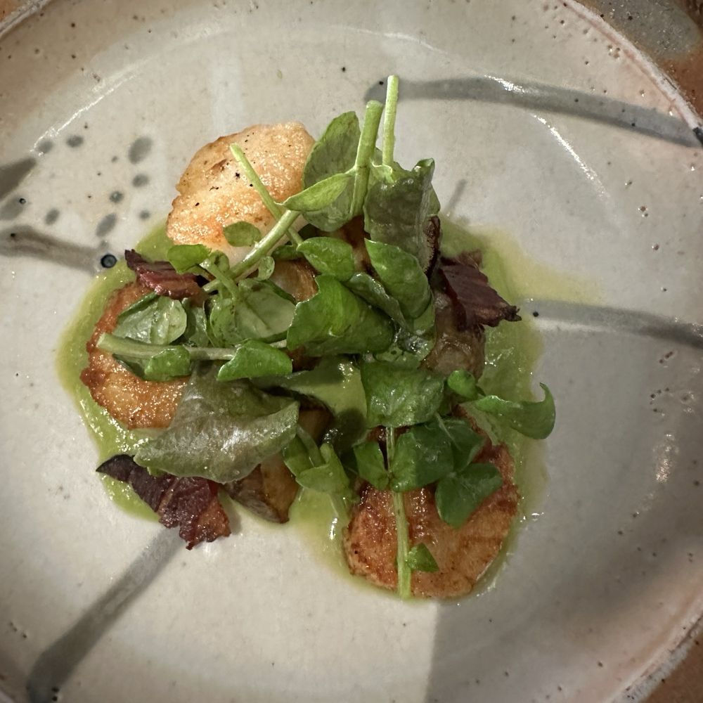 Scallops Scallops