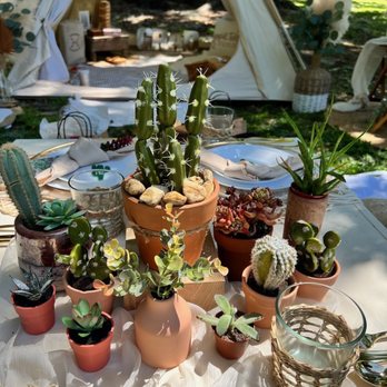 Hippie Teepee Picnic - Event Planning & Services Near Me