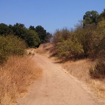 Powder Canyon - Black Walnut Trail - Hiking Near Me - La Habra Heights, California Powder Canyon - Black Walnut Trail - Hiking Near Me - La Habra Heights, California