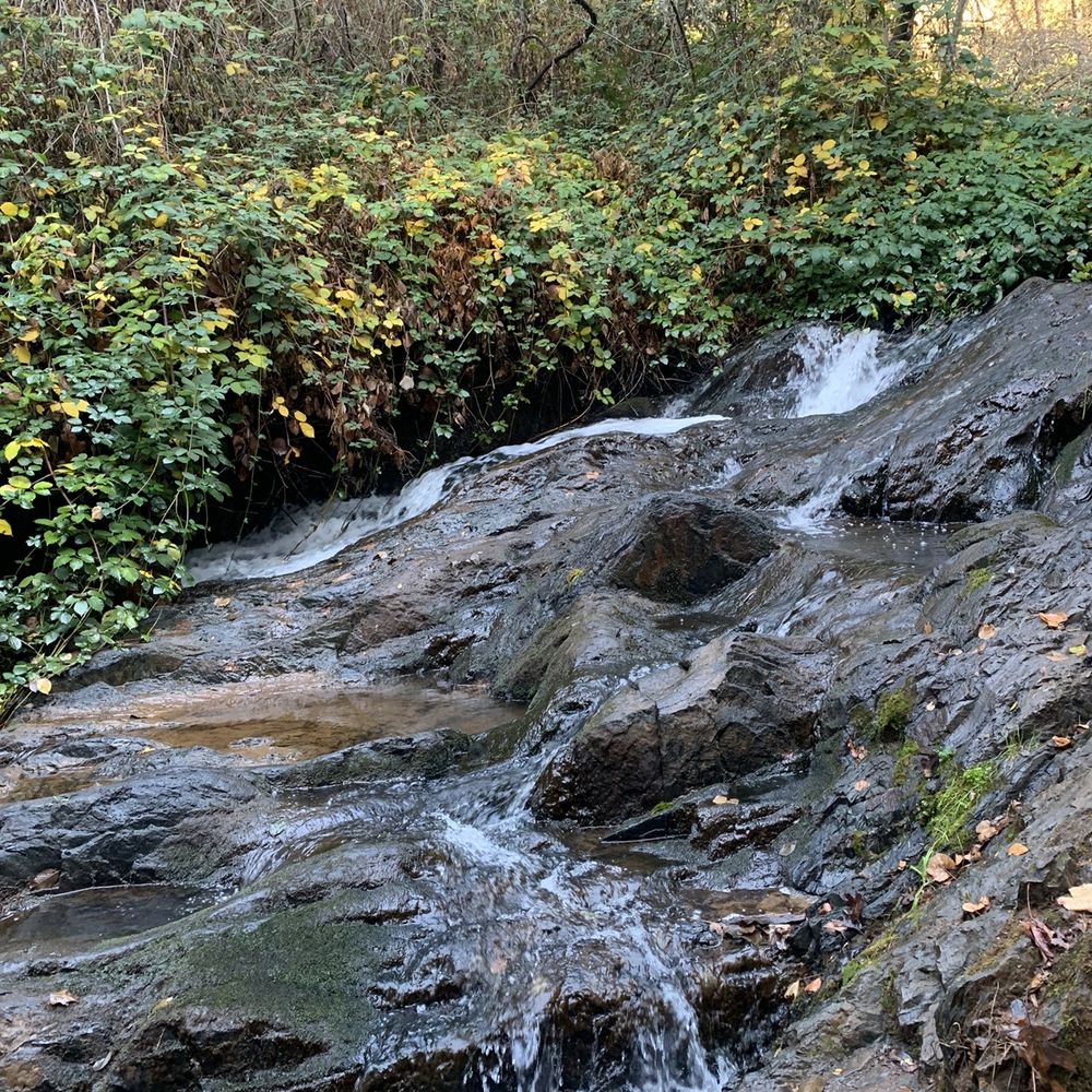 Hidden Falls Regional Park - Small waterfall along the Poppy Trail - Parks Near Me - Auburn, California