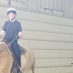 Pipe Dreams Farm - Nugget training his new rider!