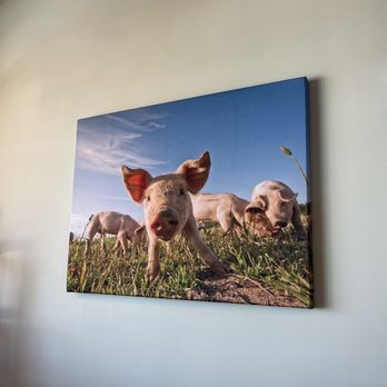 Perky Beans Coffee & PB Cafe - The wall art is the cutest!! - Coffee & Tea Near Me - Leander, Texas Perky Beans Coffee & PB Cafe - The wall art is the cutest!! - Coffee & Tea Near Me - Leander, Texas