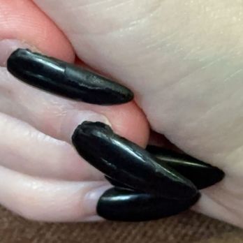 Luxe Nails - Nail Salons Near Me - Daleville, Virginia Luxe Nails - Nail Salons Near Me - Daleville, Virginia