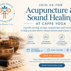 Healing Roots Acupuncture