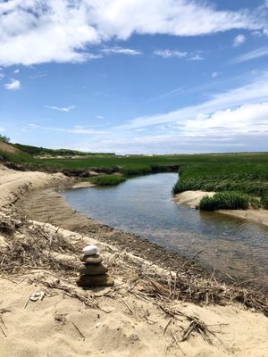 Great Island Trail by null