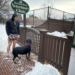 Brackett Street Veterinary Clinic - Outside