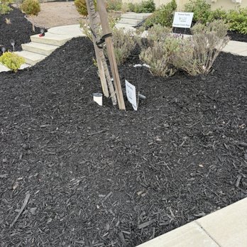 Social Spaces - Mulch - Landscaping Near Me Social Spaces - Mulch - Landscaping Near Me