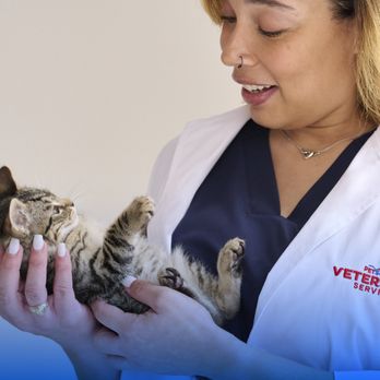 PetSmart Veterinary Services - Veterinarians Near Me - Troy, Michigan PetSmart Veterinary Services - Veterinarians Near Me - Troy, Michigan