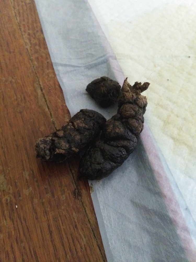 DENTAL DEPOT Updated September 2024 17 W 4th St, La Junta, Colorado