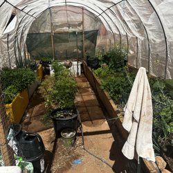 Lee's Ferry Lodge - Fresh Veggies on site