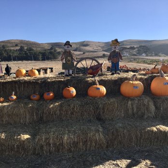 Bob's Vegetable Stand & Pumpkin Farm - Pumpkin size and pricing $1-30 - Pumpkin Patches Near Me - Half Moon Bay, California Bob's Vegetable Stand & Pumpkin Farm - Pumpkin size and pricing $1-30 - Pumpkin Patches Near Me - Half Moon Bay, California