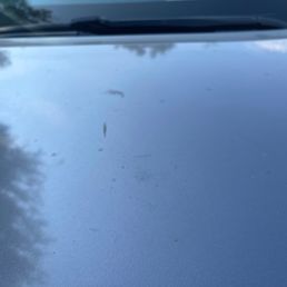 Top of hood