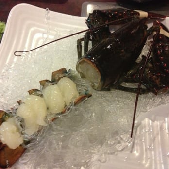 Dokdo Restaurant - Lobster sashimi comes with the live flounder meal - they boil the head afterwards - Korean Near Me - Houston, Texas Dokdo Restaurant - Lobster sashimi comes with the live flounder meal - they boil the head afterwards - Korean Near Me - Houston, Texas