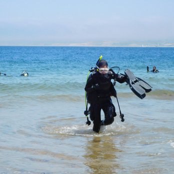 I Love Diving - San carlos beach dive - Scuba Diving Near Me I Love Diving - San carlos beach dive - Scuba Diving Near Me