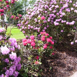 Kurpark