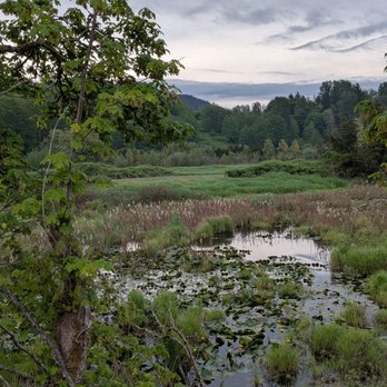 Whitehorse Trail - Hiking Near Me - Darrington, Washington Whitehorse Trail - Hiking Near Me - Darrington, Washington