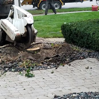 Budget Tree Service - Tree Services Near Me - Washington, Michigan Budget Tree Service - Tree Services Near Me - Washington, Michigan