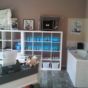 Die Terrier Boutique - Pet Groomers Near Me - Berlin, BE Die Terrier Boutique - Pet Groomers Near Me - Berlin, BE