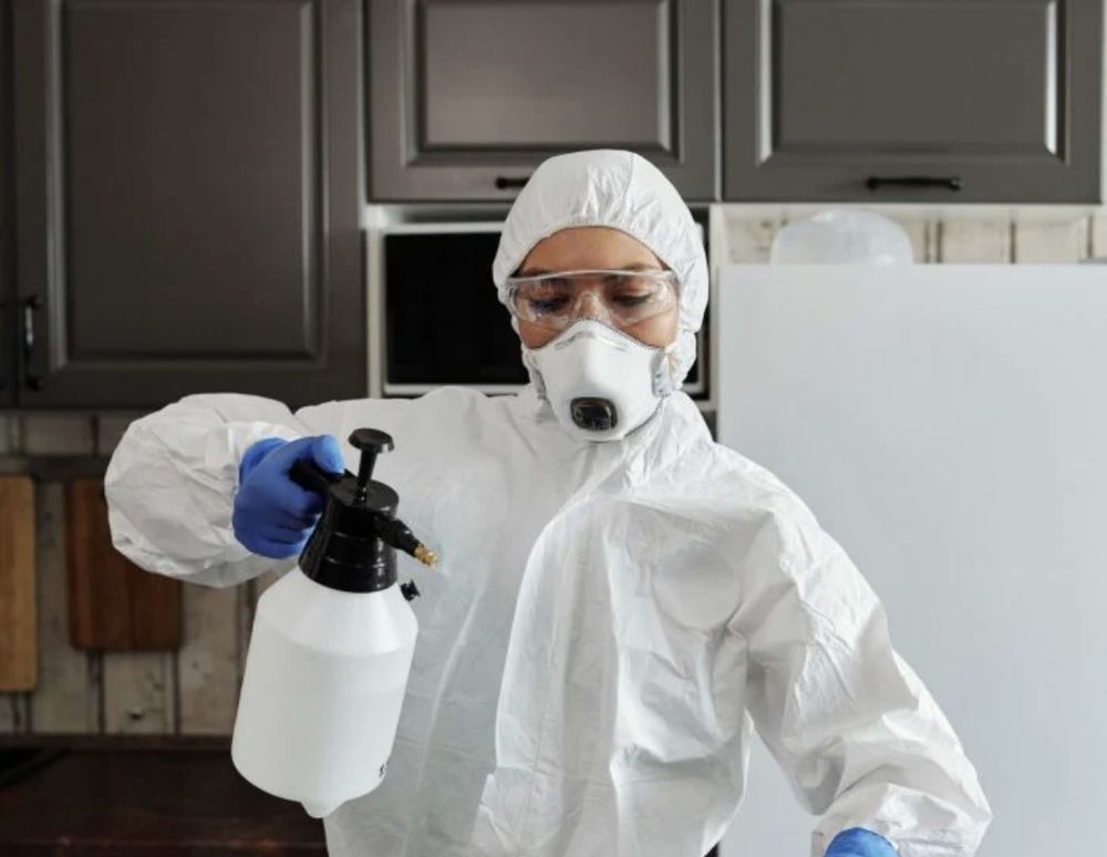 CRYSTAL CLEAR CLEANER Updated May 2024 34 Photos Van Nuys