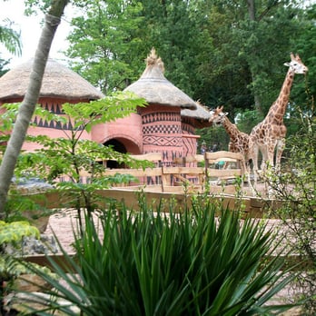 Pairi Daiza - Zoos Near Me - Brugelette, WHT Pairi Daiza - Zoos Near Me - Brugelette, WHT