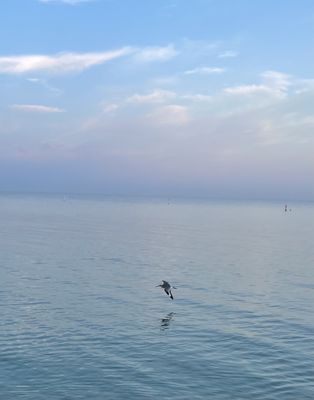 Bonita Beach Park by null