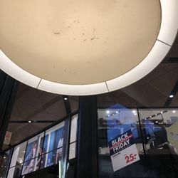 Hema - The lamp shade hanging above the table where we ate that has the dead bug's in it.