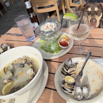 Driftwood Restaurant & Lounge - Doggy friendly - Lounges Near Me - Cannon Beach, Oregon Driftwood Restaurant & Lounge - Doggy friendly - Lounges Near Me - Cannon Beach, Oregon
