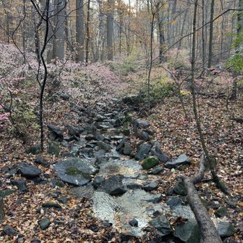 Brandywine Creek State Park - Parks Near Me Brandywine Creek State Park - Parks Near Me